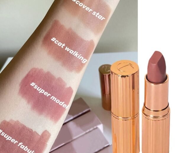 Send To Girlfriend Full Color Gift Lipstick To Girlfriend Lasting Various Colors Affordable Lipstick Health Beauty 3 595x516